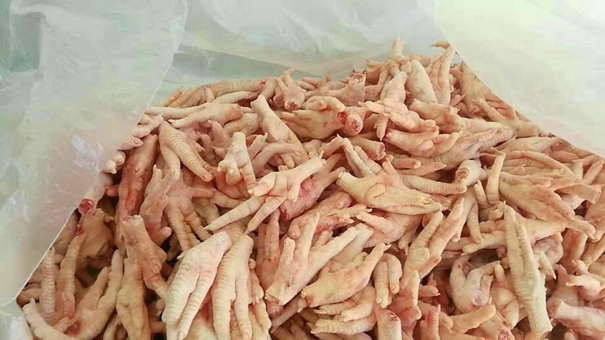 巴西进口鸡爪到上海或者宁波怎么清关操作_副本.jpg