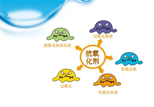 抗氧化剂进口报关_副本.jpg
