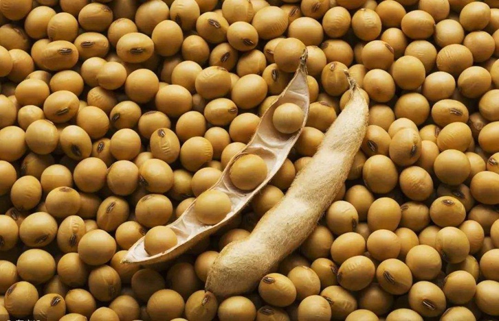 巴西大豆进口清关代理公司