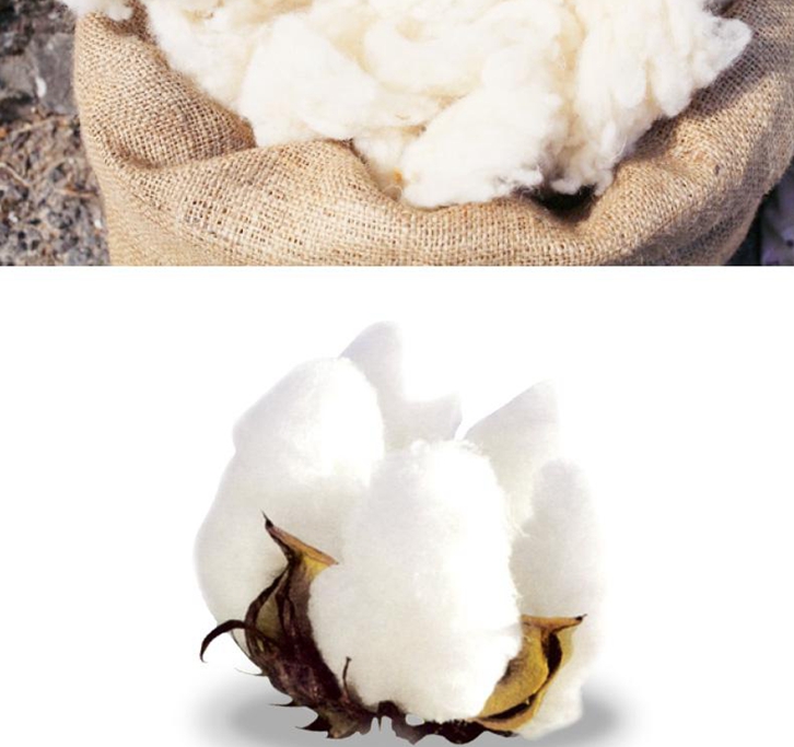 羊毛进口清关要多久